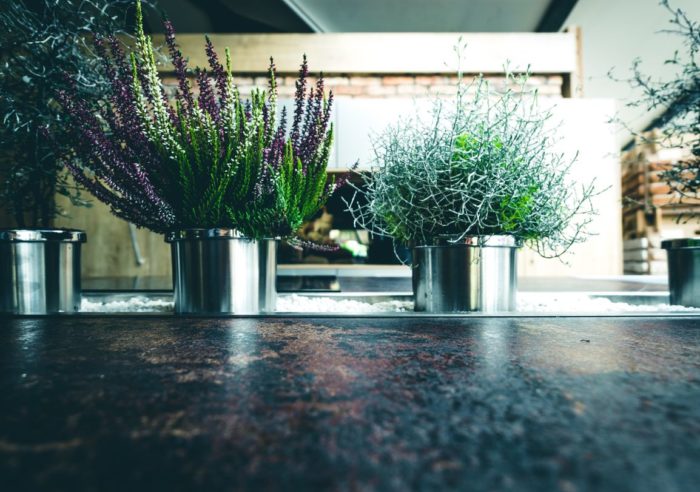 Die motorisch ausfahrbare Mittelkonsole der Küche „Venedig“ lässt sich dekorativ mit Zimmerpflanzen oder Kräutern verschönern. Die Konsole ist passgenau in die robuste Arbeitsfläche in Rostoptik eingelassen.